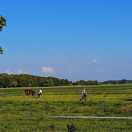 Chalet Weizicht Op Minicamping Hoogelande Grijpskerke Экстерьер фото